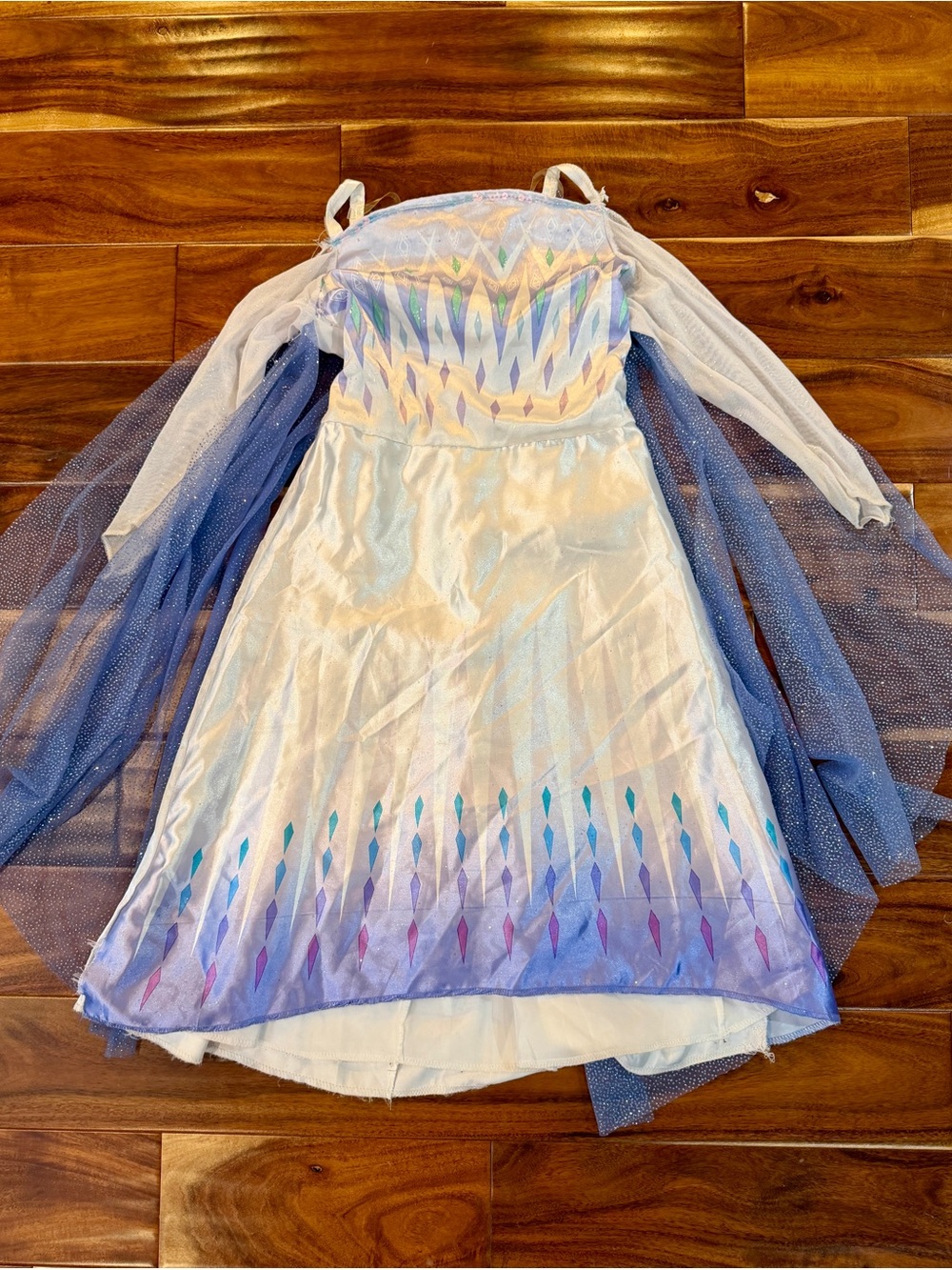 Disney White, Blue and Purple Iridescent Princess Costume